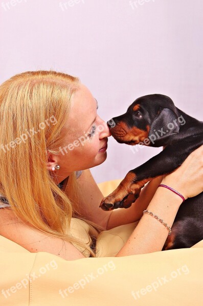 Doberman Dog Pets Animal Canine