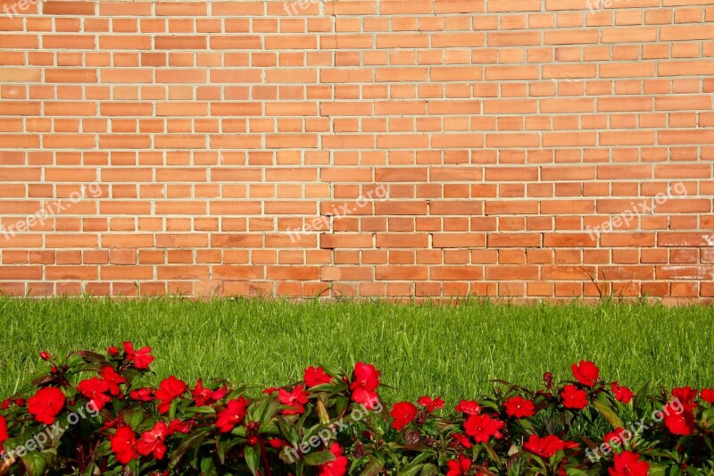 Wall Red Flowers Rush Brick