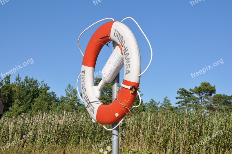 Lifebuoy Buoy Rescue Reed Free Photos