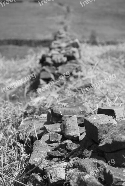 Wall Dry Stone Grass Rough