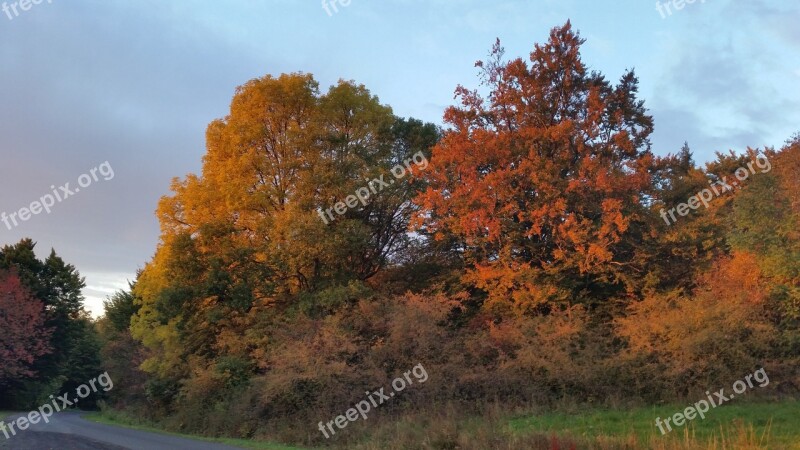 Autumn Rhön Nature Relaxation Rest