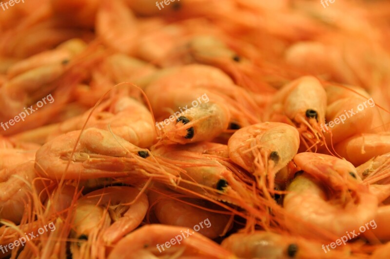 Shrimp Seafood Eat Market Cook