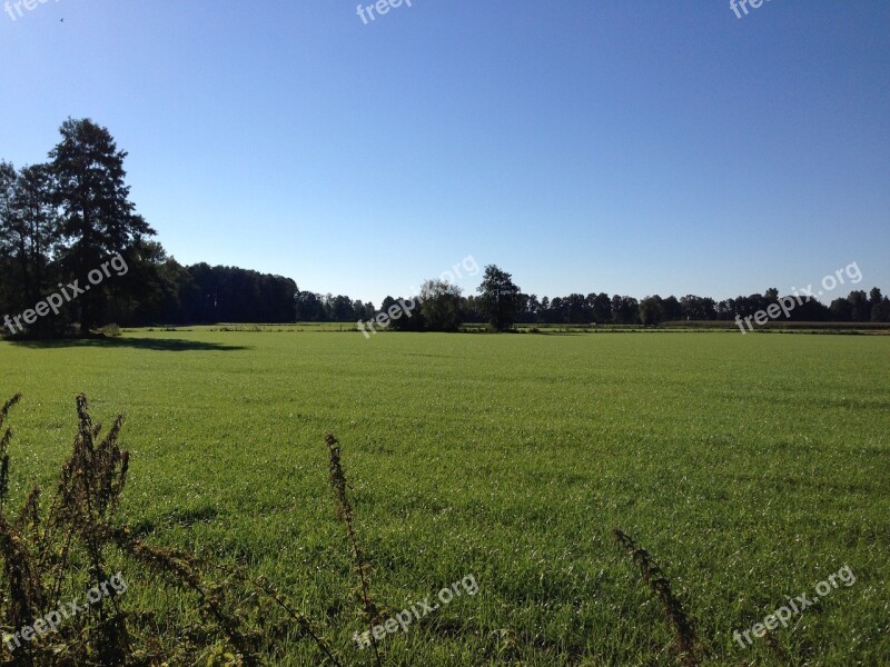 Nature Meadow Westfalen Free Photos