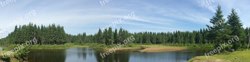 Lake Forest Nature Tranquil Forest Landscape