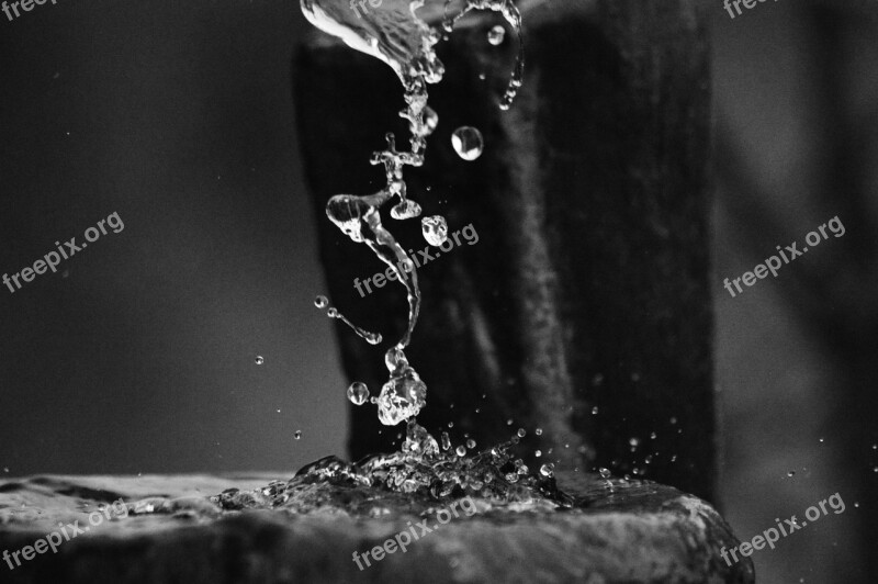 Water Drops Water Drop Liquid Nature