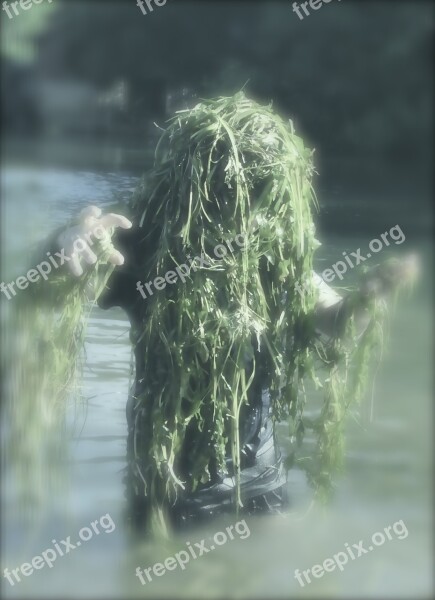 Water Sprite Aquarius Seaweed Sea Monsters Aquatic Plants