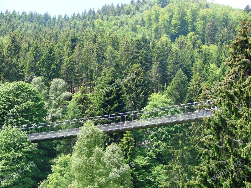 Nature Trees Scenic Forest Path Landscape