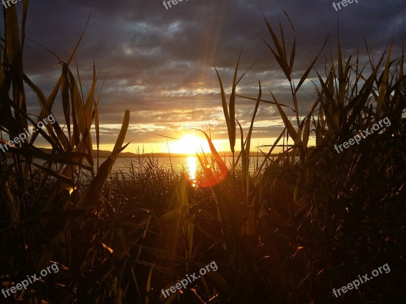 Sunset Lake Switzerland Nightfall Nature