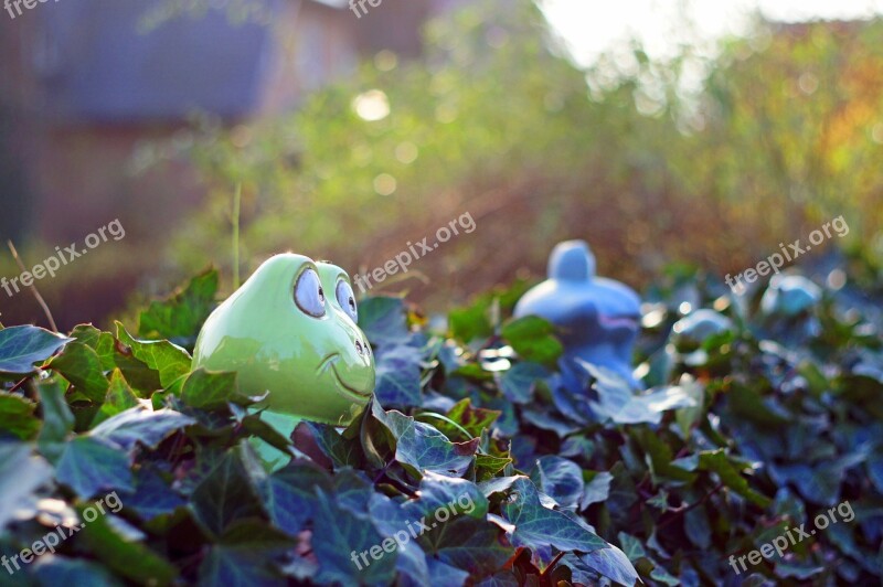 Frogs Frog Hedge Garden Figure