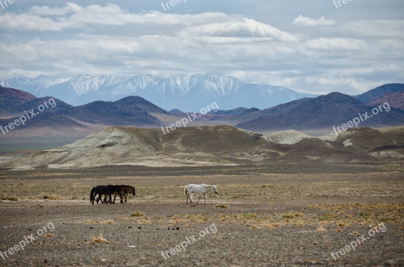 Mongolia Mountains Nature Summer Steppe