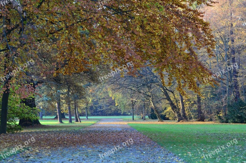 Autumn Kassel Karlsaue Landscape Nature