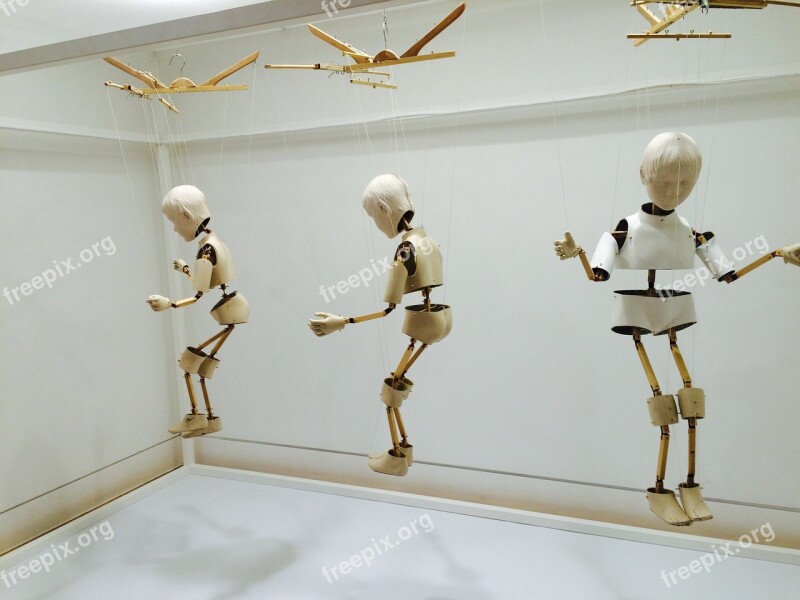 Skull Robot Doll Exhibition Wood Doll