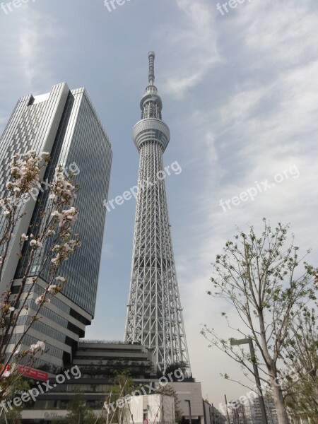 Tokyo Japan Skytree Free Photos