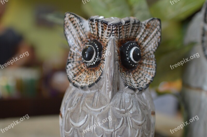 Owl Gift Souvenirs Free Photos