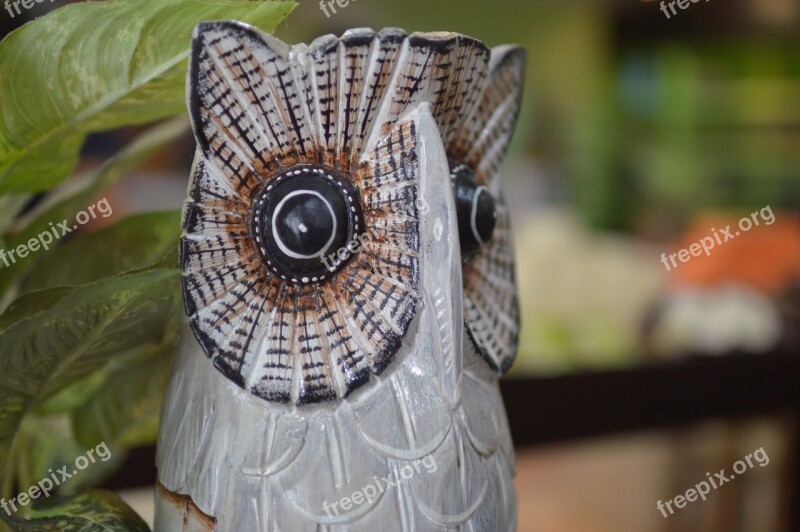 Owl Souvenirs Gift Free Photos