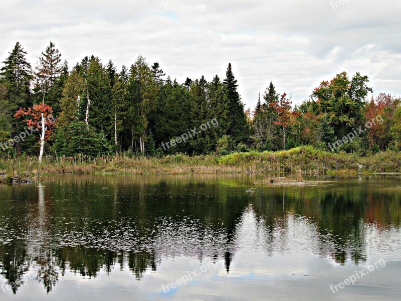 Autumn Fall Trees Evergreens Lake