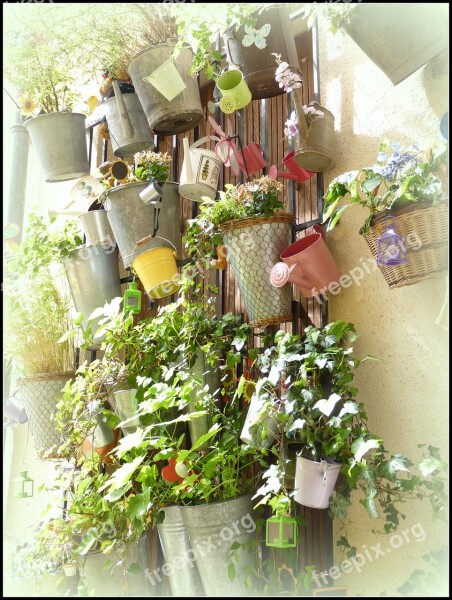 Decor Flowers Flower Pot Free Photos