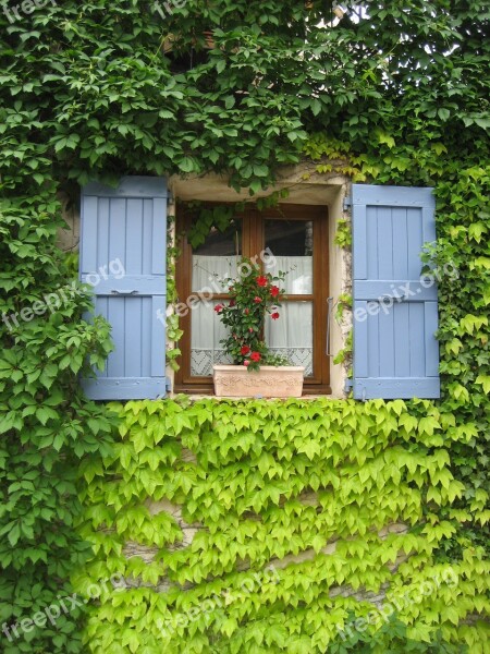 Vines Shutters Provence France Free Photos