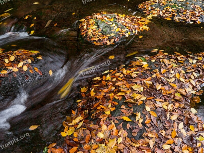 Japan Kumamoto Oguni Valley Autumn