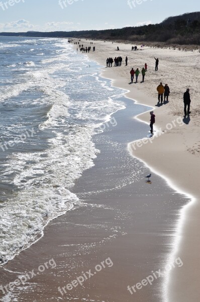 Baltic Sea Beach Gull Walk Free Photos