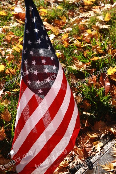 Flag Fall Memorial Day Cemetery Fallen