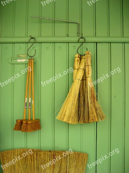 Broom Provence France Free Photos