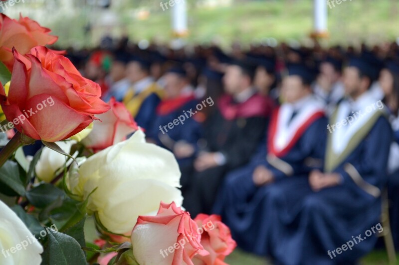 Roses Flowers Graduation Event Pink