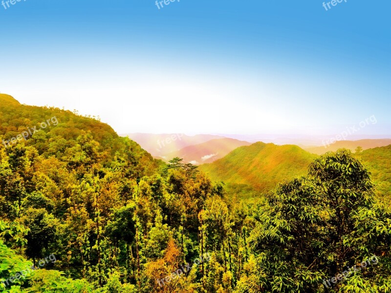 Landscape Mountain Hill Trees Nature