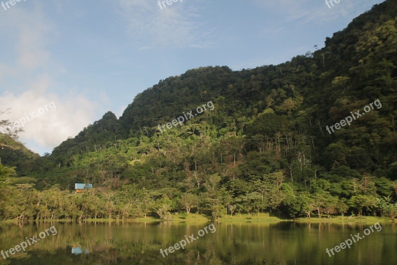 Forest Landscape Forest Landscape Natural Background Beautiful Landscape