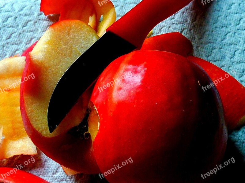 Apple Tree Bucket Harvest Eat