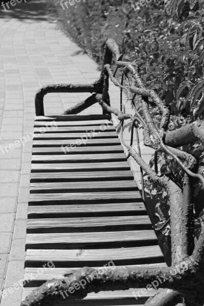 Bench Outdoor Garden Botanical Garden Park Bench