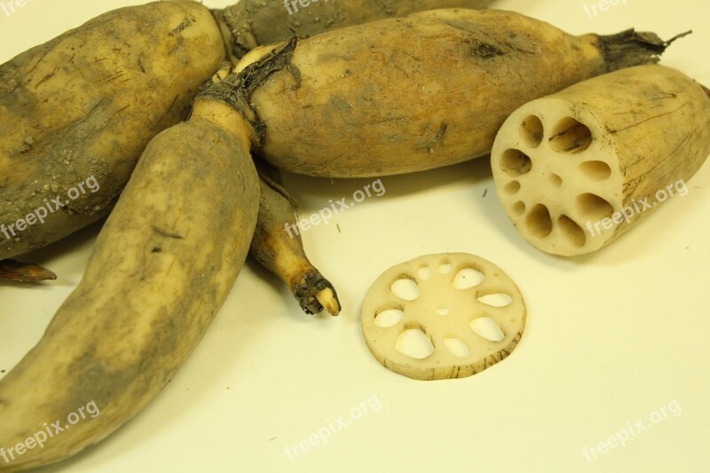 Lotus Root Vegetables Food Hole Soil Mechanics