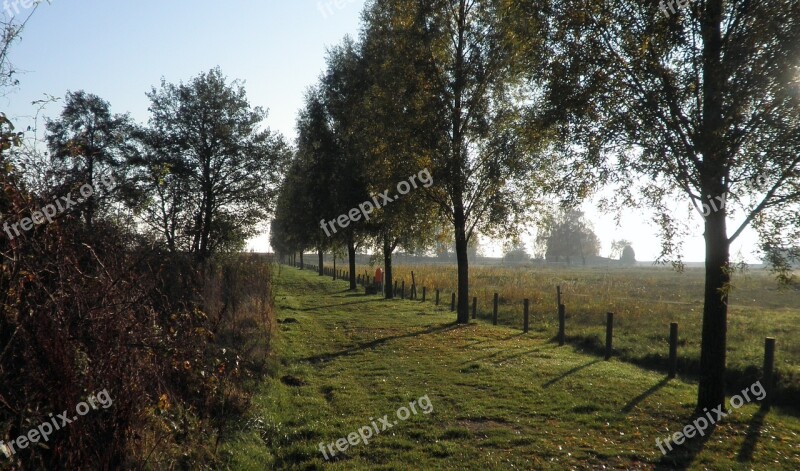 Away Avenue Perspective Trees Nature