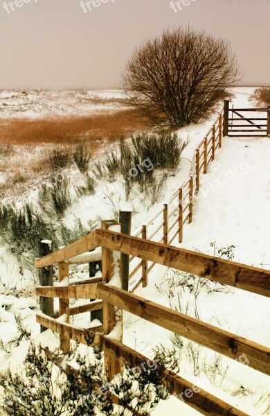 Landscape Winter Snow Winter Landscape Nature