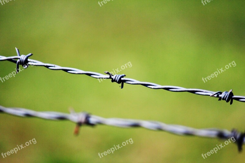 Captivity Prison Barbed Wire Barriers Green