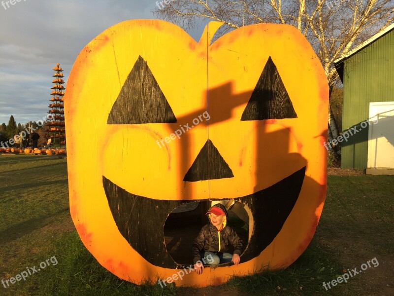 Jack O Lantern Halloween Pumpkin Decoration Halloween Pumpkin