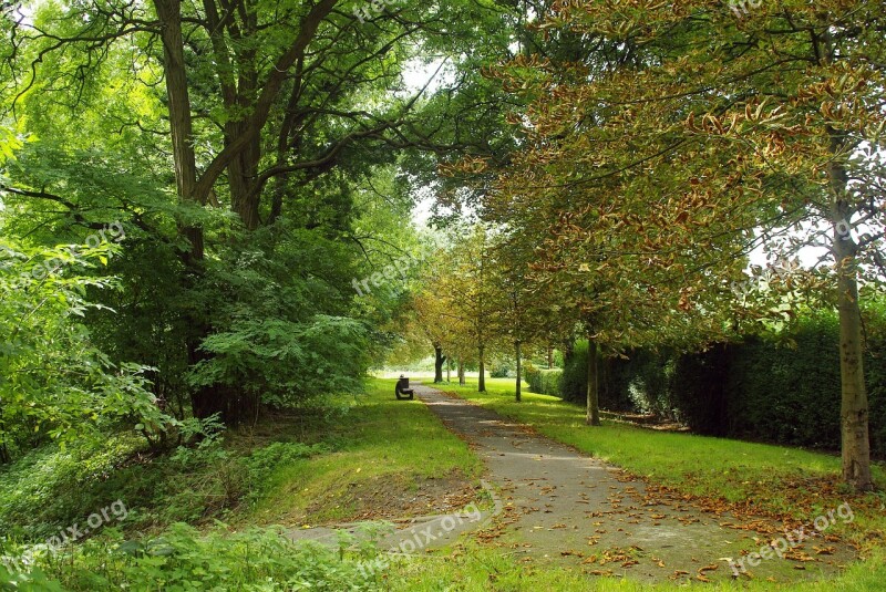 Lille Park Promenade Fall Nature