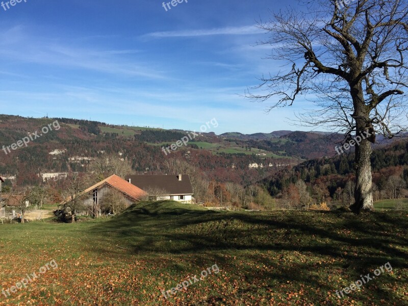 Homestead Jura Meadow Pasture Autumn