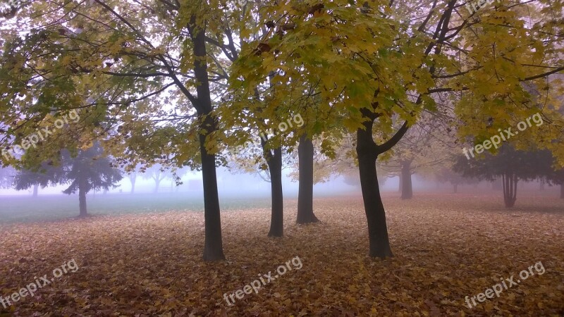 Autumn Agricultural Logistic Nature Landscape Hungary