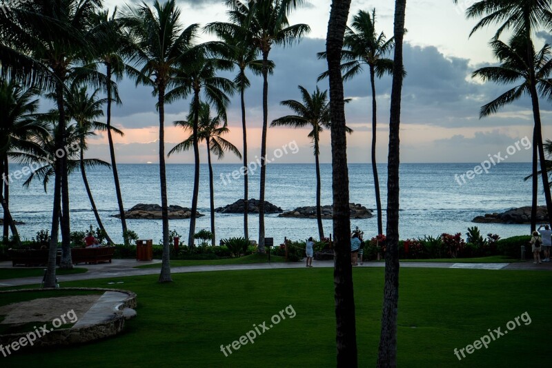 Sunset Hawaii Oahu Palm Trees Beach