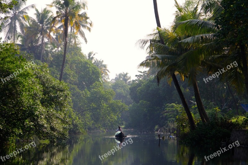 River Jungle Rainforest Boat Rowing Boat