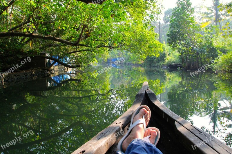 River Jungle Rainforest Boat Rowing Boat