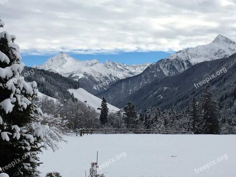 Winter Snow Wintry Winter Dream Winter Forest