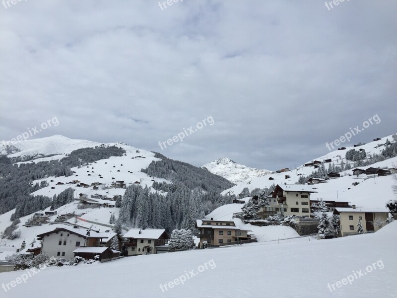 Winter Snow Wintry Winter Dream Winter Forest