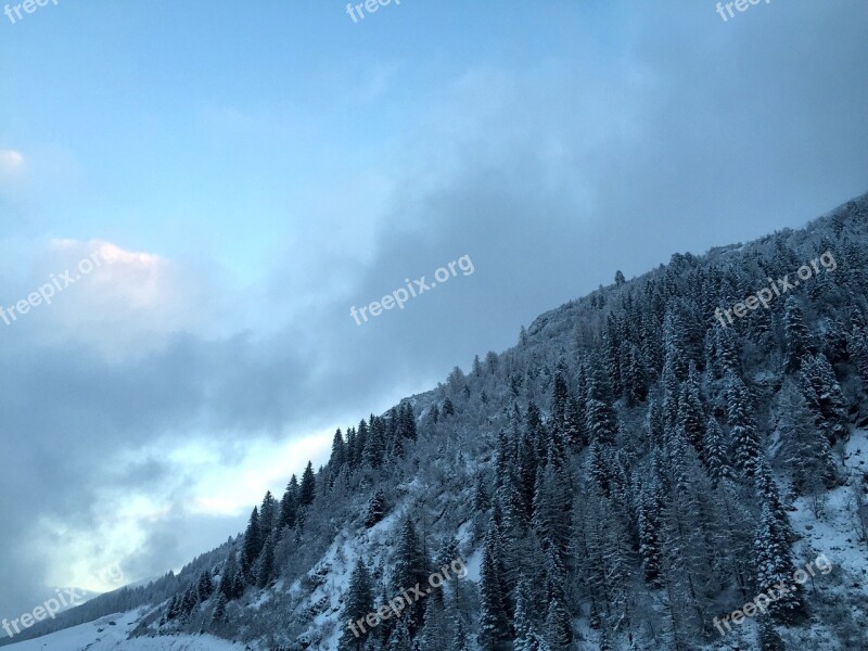 Winter Snow Wintry Winter Dream Winter Forest