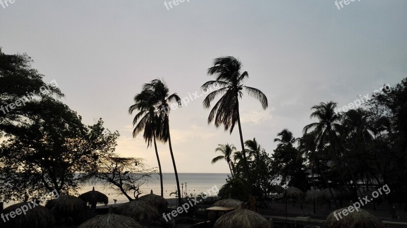 Palmas Beach Sunset Sea Free Photos