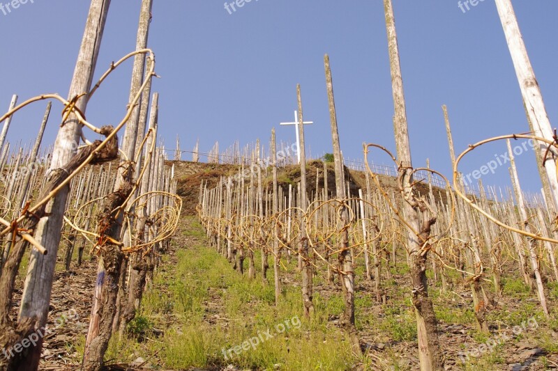 Moselle Germany Vines Free Photos