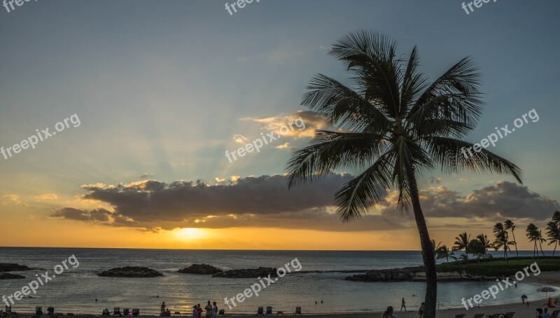 Sunset Sun Rays Palm Trees Summer Hawaii