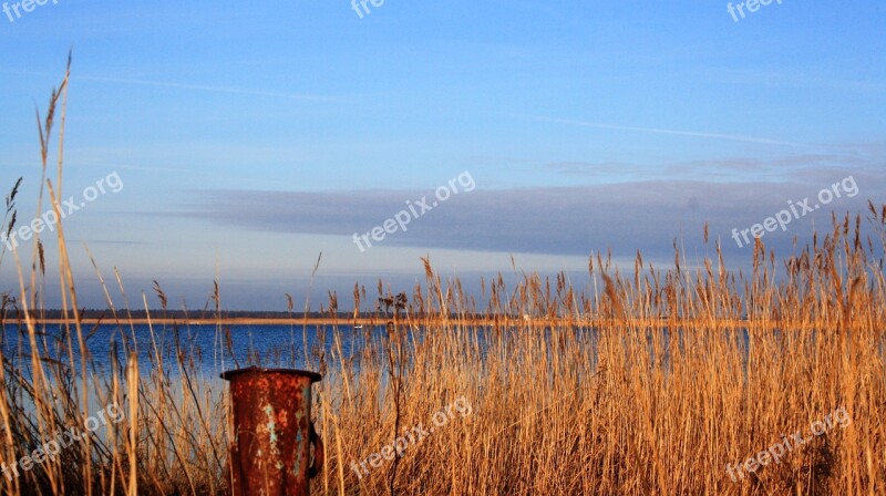 Bodden Winter Water Reed Sky