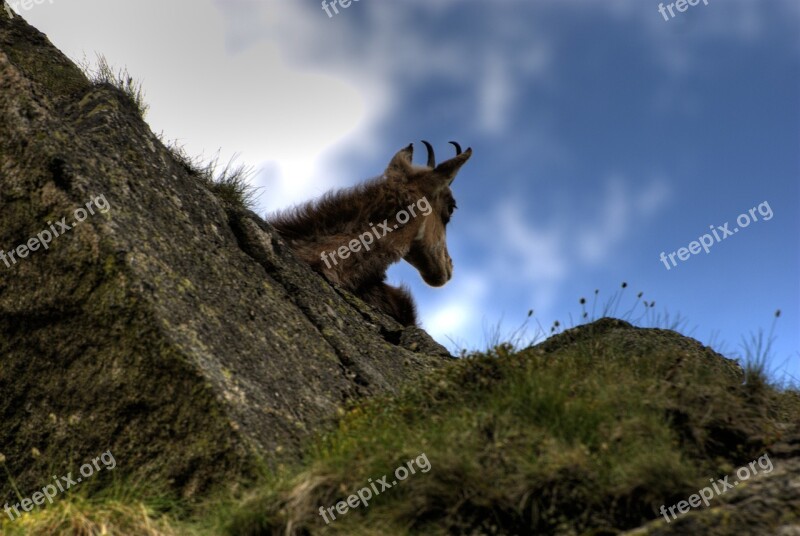 Tatry Poland Czerwone Wierchy Mountains Vistas